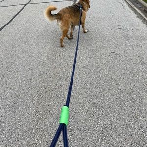 Fletcher Paracord leash